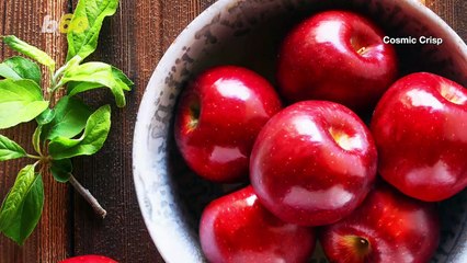 A New Variety of Apples Will be Better Than the Honeycrisp