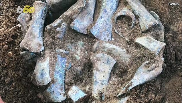 Scientists Discover Trove Of Bronze Age Weapons But Wonder Why They’re All Broken