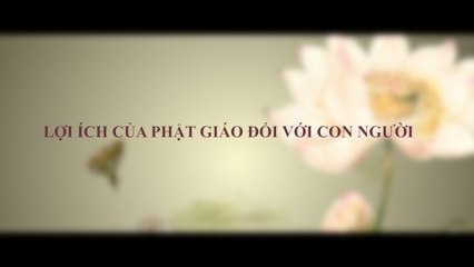 Lợi Ích Của Phật Giáo Đối Với Con Người | Tuổi Trẻ Tỉnh Thức | Shark Nguyễn Thanh Việt