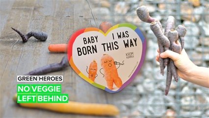 Green Heroes: There's no such thing as a bad veggie