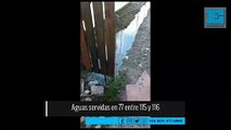 Aguas servidas en Villa Elvira