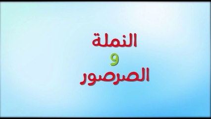 النملة والصرصور (توزيع جديد) - طيور بيبي Toyor Baby