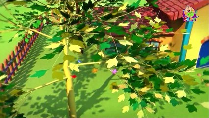 غرد يا عصفوري (توزيع جديد) - طيور بيبي Toyor Baby