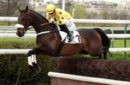 Storm of Saintly prend sa retraite