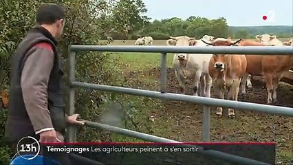 Agriculture : d'où vient le malaise qu'expriment les exploitants ?