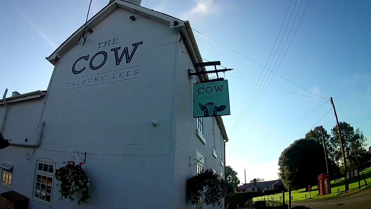 The Cow review