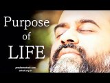 Acharya Prashant: The purpose of life is to come to purposelessness.