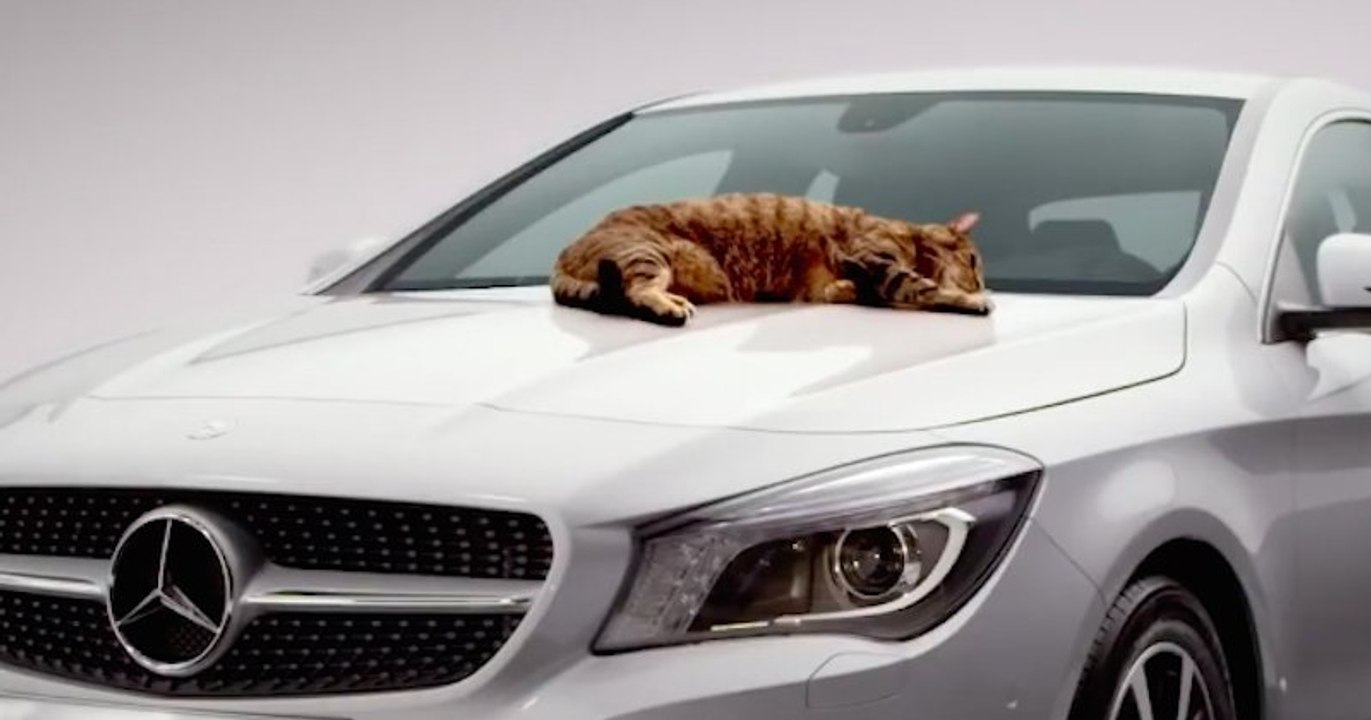 Mercedes : des pubs drôles et créatives avec des animaux