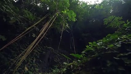 Whatsapp nature status video - flow of water from top of mountain - Nice and cool nature video