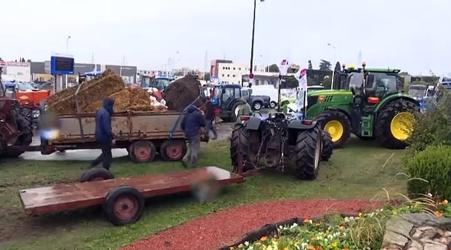 In Germania e Francia nuova protesta degli agricoltori, trattori in strada