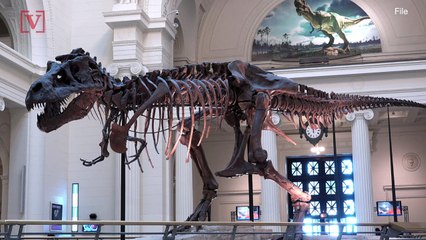 Acid Rain Wiped Out the Dinosaurs