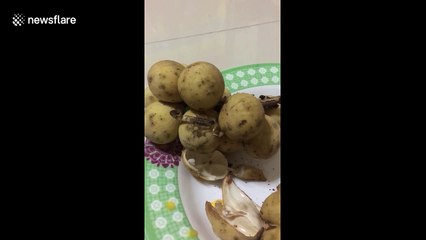 Thai woman finds scorpion crawling across the fruit she bought from market