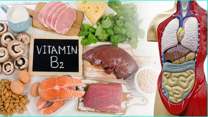 20 Best Vitamin B2 Rich Foods You Should Include In Your Diet