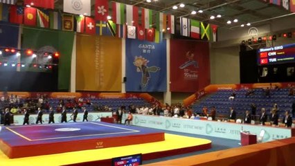 15. Dünya Wushu Şampiyonası