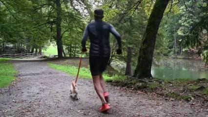 Gobi, le chien marathonien