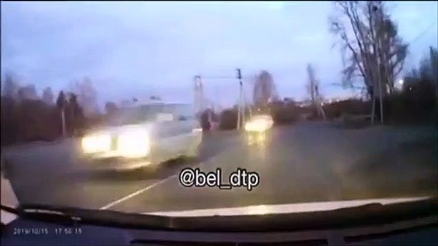 Un conducteur sauve une fillette juste avant que des chiens s'en prennent à elle