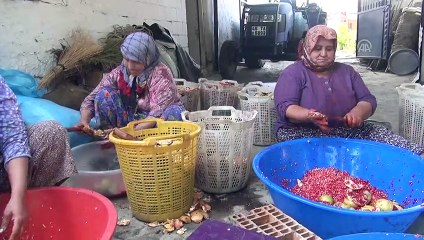 Kadınların nar ekşisi mesaisi başladı - MANİSA