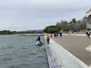 Ce kangourou est sauvé de la noyade mais décide de replonger dans l'eau !