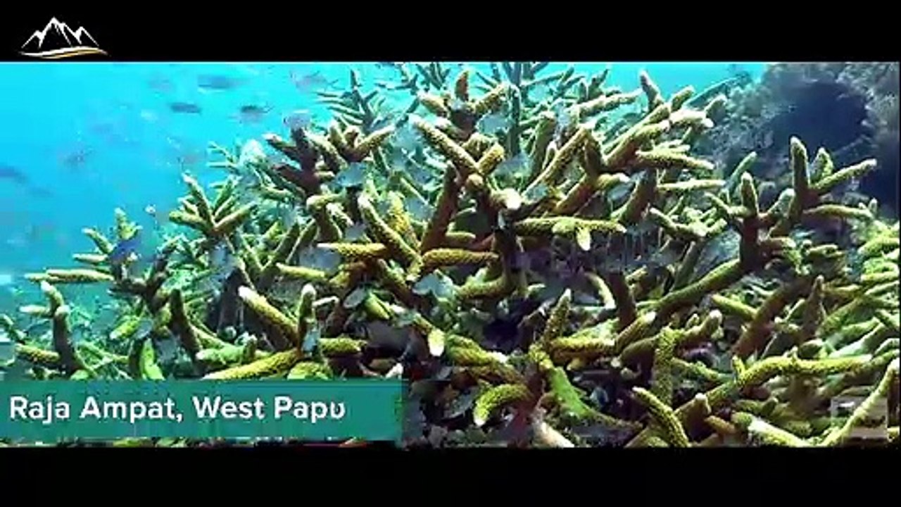 The Untouched Diving Paradise In West Papua You Must Visit