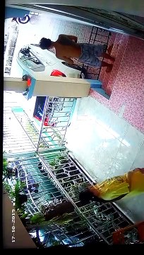 Dog Pulls Owner's Pants Down As He is Holding Baby