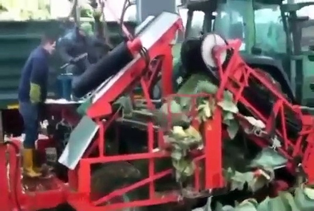 Top 5 agricultural harvesters No. 1 in the world