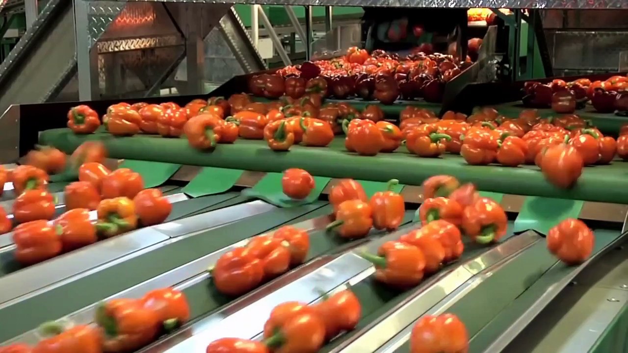 Manufacturing technology people home