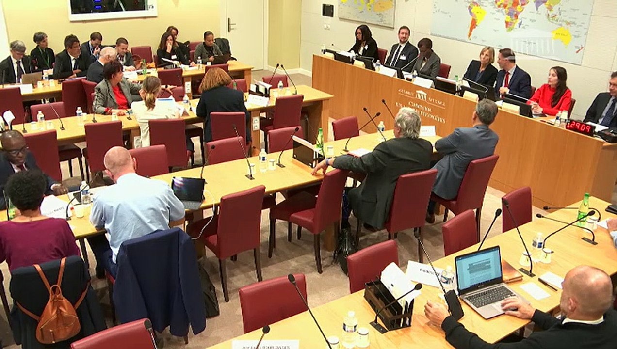 Commission des affaires étrangères : Mme Louise Mushikiwabo, Organisation mondiale de la Francophonie - Mardi 22 octobre 2019