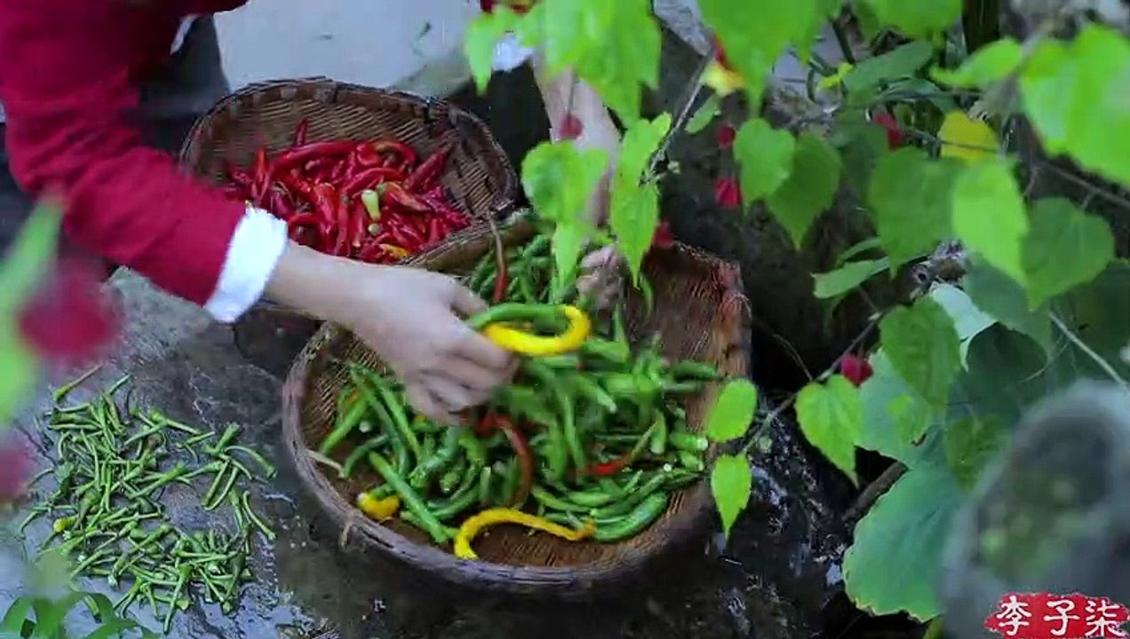 Cuộc sống của ớt -The life of peppers-