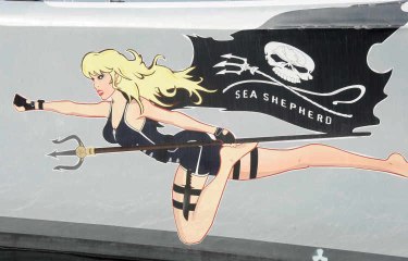 Sea Shepherd: Beschützer der Ozeane