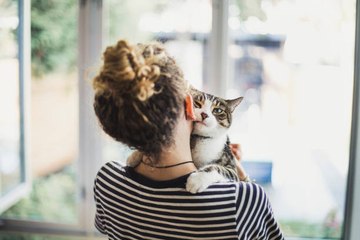 Verhaltensweisen, die beweisen, dass deine Katze dich liebt