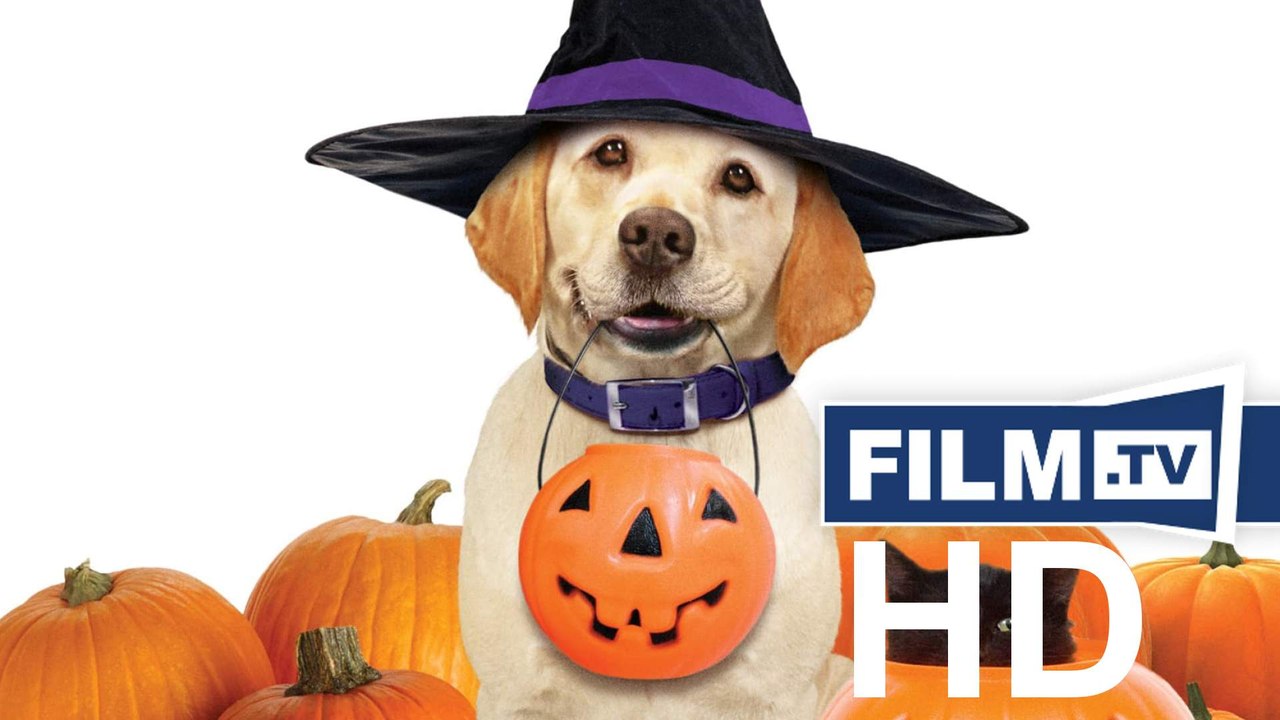 Ein Hund Rettet Halloween Trailer Deutsch German (2013)