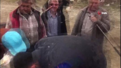 Tilki kurtarma operasyonunu yemek yiyerek izlediler