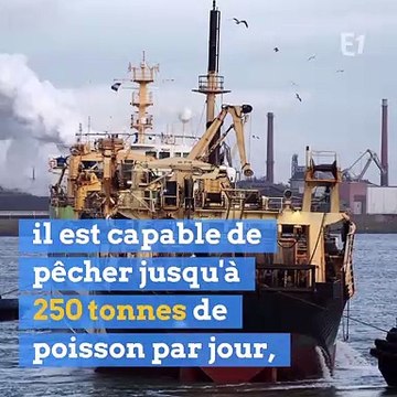 Un chalutier géant inquiète les pêcheurs traditionnels dans la Manche