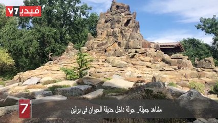 مشاهد جميلة.. جولة داخل حديقة الحيوان فى برلين