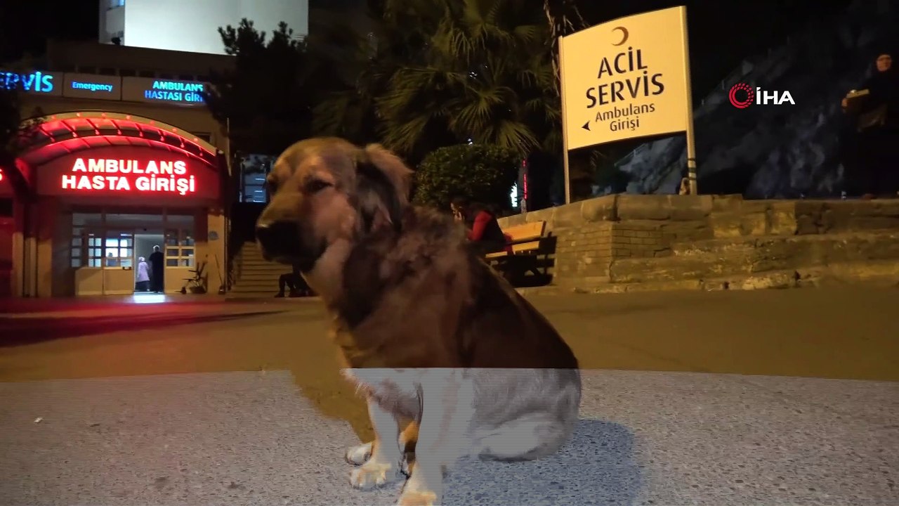 Türkiye onların dostluğunu İHA sayesinde tanıdı