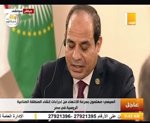 الرئيس السيسي يؤكد على أهمية التعاون العسكرى بين مصر وروسيا