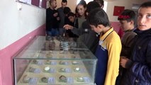 Şanlıurfa bulduğu taşlar fosil çıkan öğretmen, okulda müze kurdu