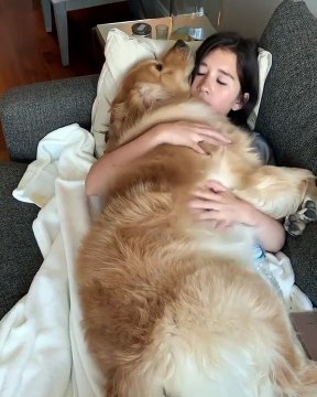 Il ne fait absolument aucun doute que c'est le chien le plus grand chien du monde