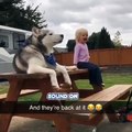 Une conversation hilarante entre un chien Husky et un enfant. Trop drôle !