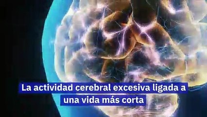 La actividad cerebral excesiva ligada a una vida más corta