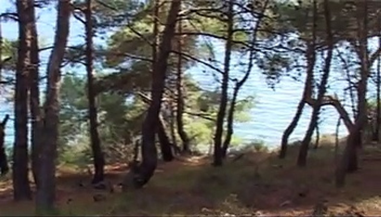 Saros Körfezi FSRU Gemi İskelesi