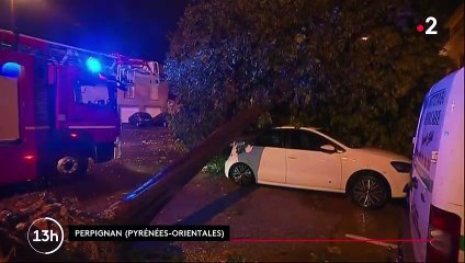 Intempéries : la ville de Perpignan marquée par les dégâts