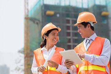 Software utilizado en la construcción podría disminuir tala de árboles