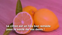 Le citron est un allié fidèle pour la santé de vos dents