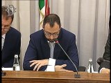 Roma - Audizione ministro Patuanelli (23.10.19)