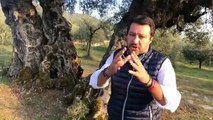 Salvini Permessi premio a terroristi e mafiosi Ma in che paese viviamo (23.10.19)
