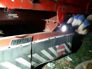 Armi e droga sul Gargano, 15 arresti contro il clan Raduano (23.10.19)