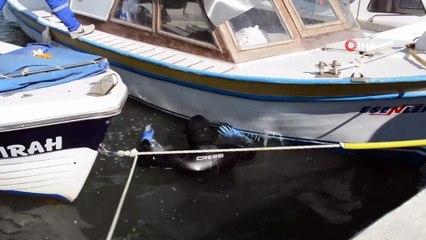 Petrol türevi atıkların kirlettiği teknelerde temizlendi