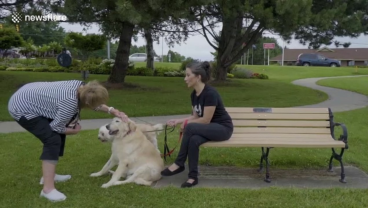 Dogs in hospice care lovingly connect with seniors in retirement home