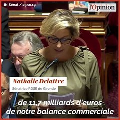 Didier Guillaume expose sa stratégie pour répondre à la taxe américaine sur les vins français